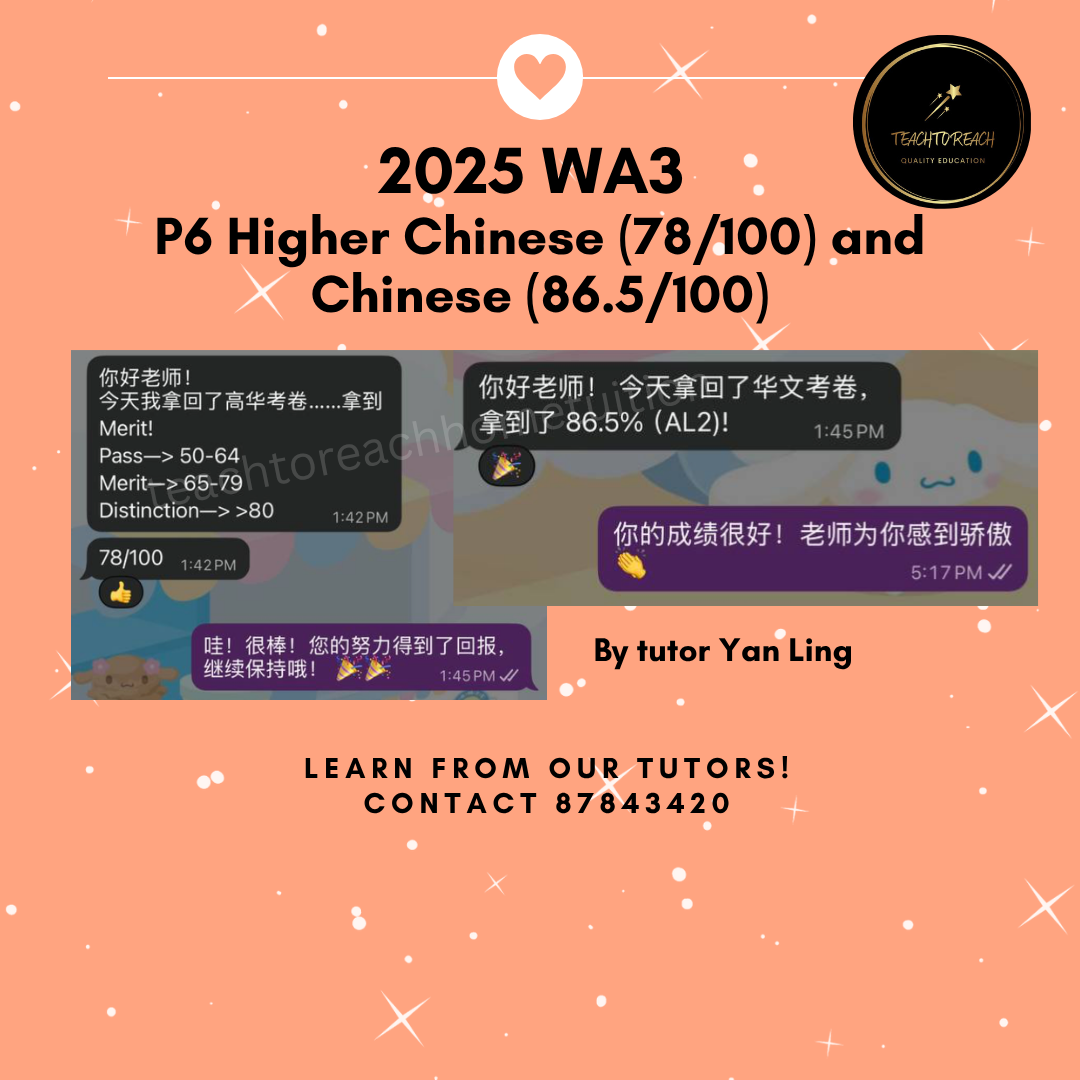 Higher Chinese Tuition Singapore